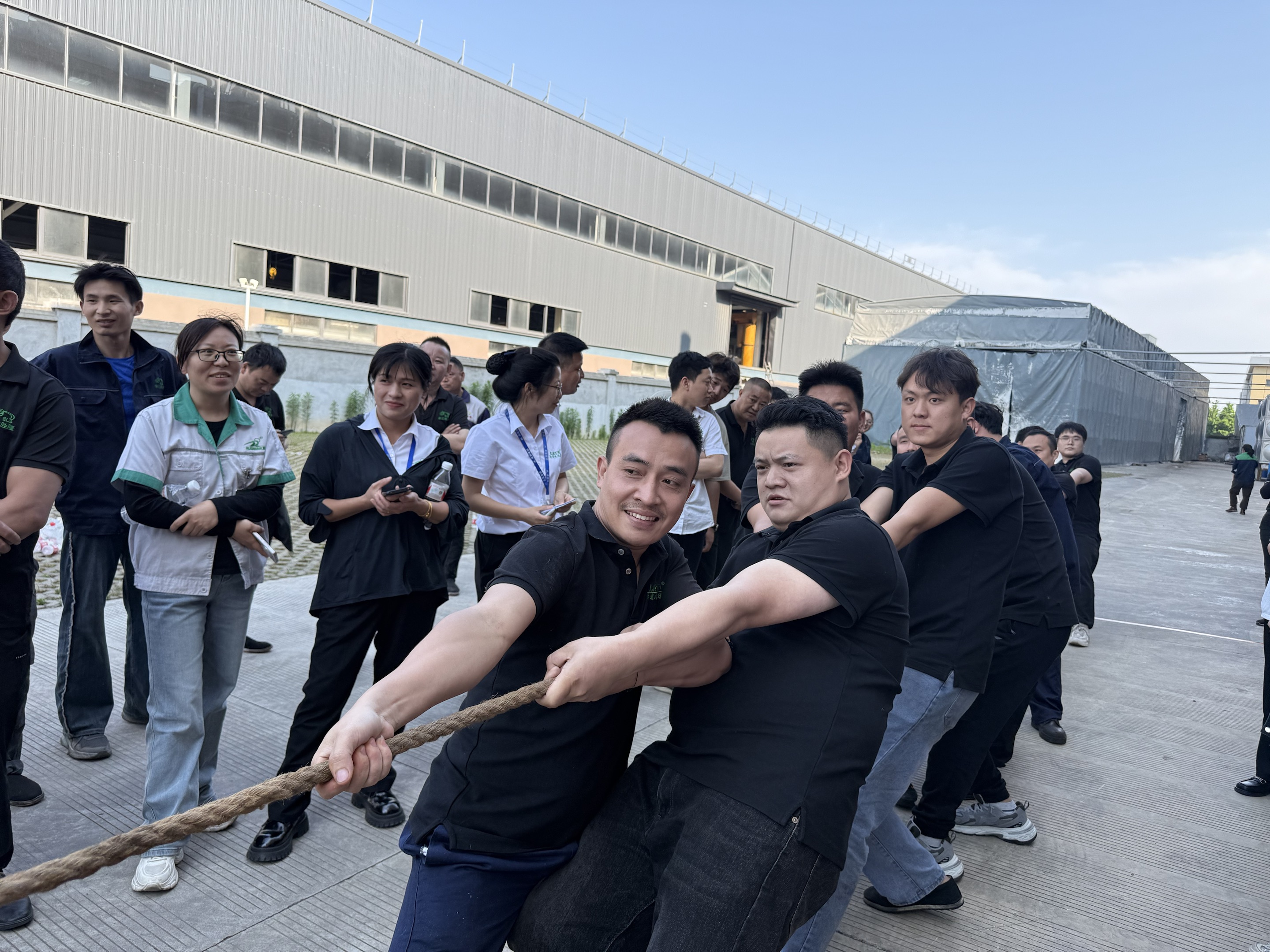 团2.jpg